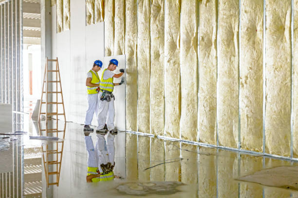 Best Blown-in Insulation in Grandview, WA